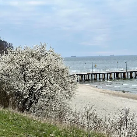 Apartment Molo Orlowo